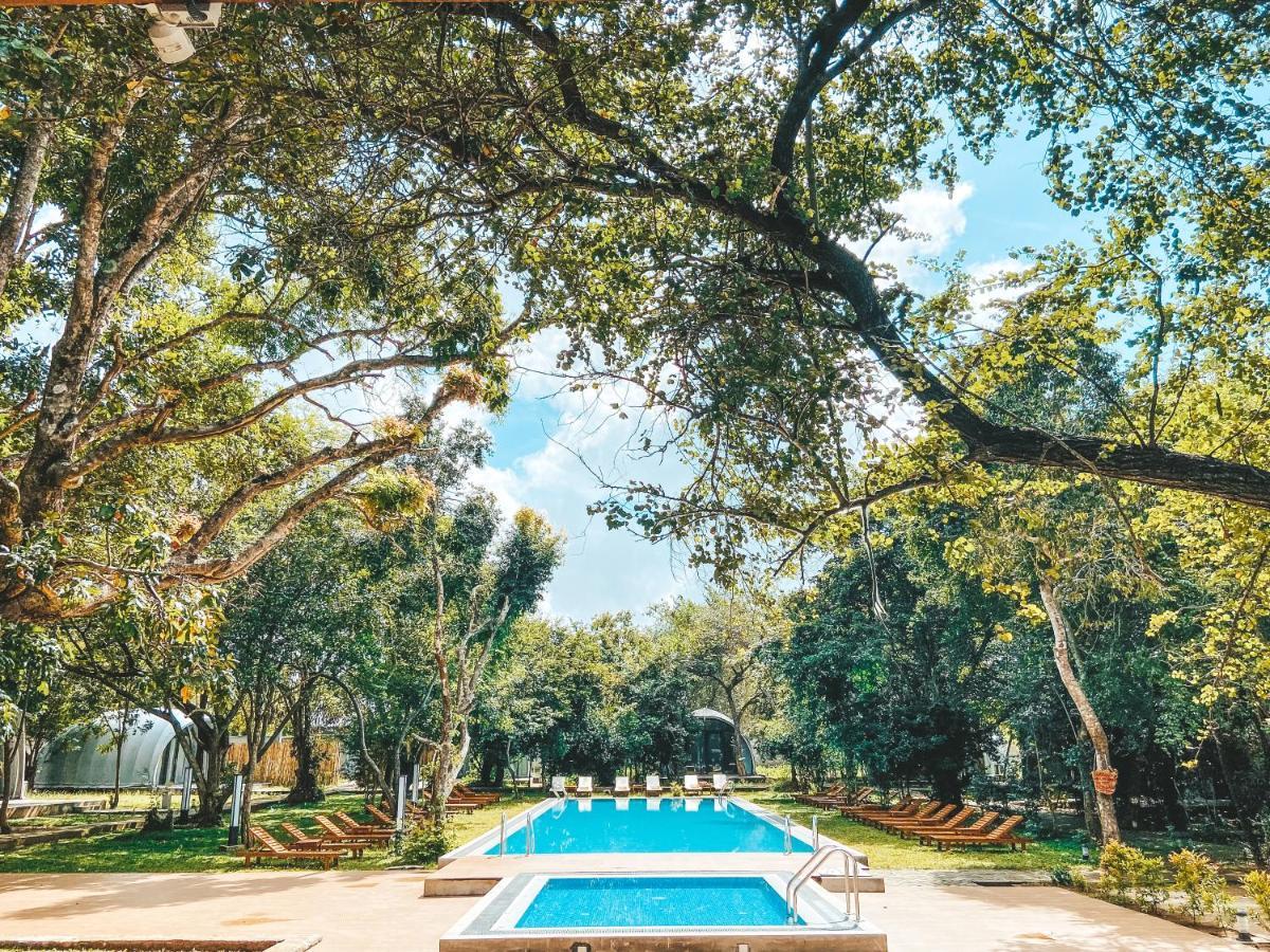 Nivadoo Resort Sigiriya Buitenkant foto The swimming pool at the hotel