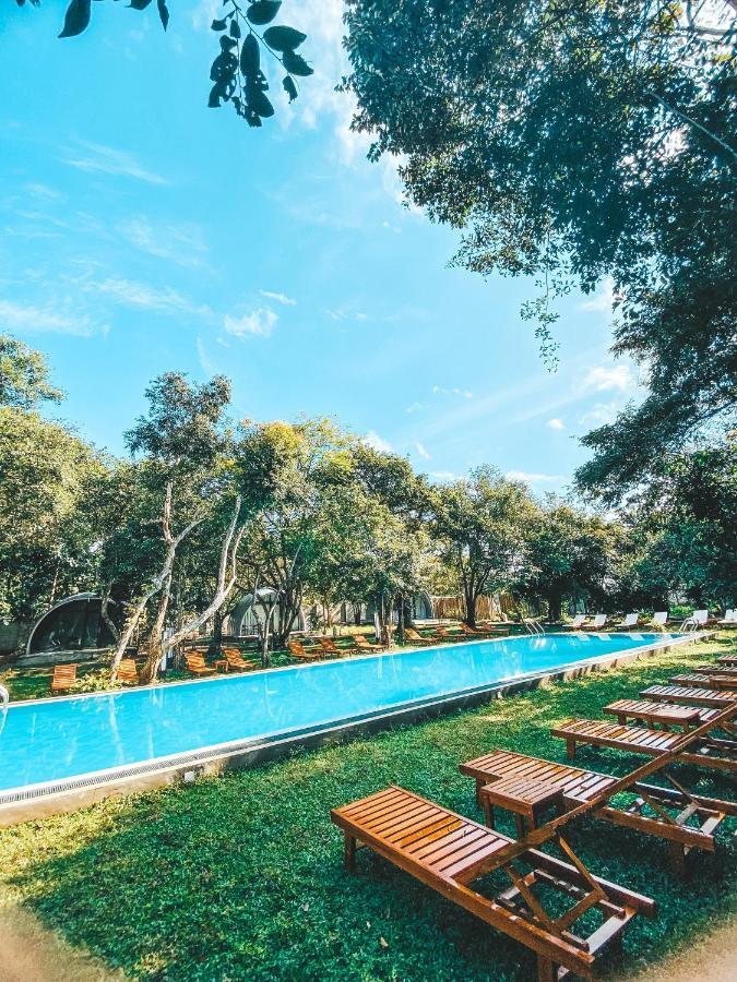 Nivadoo Resort Sigiriya Buitenkant foto